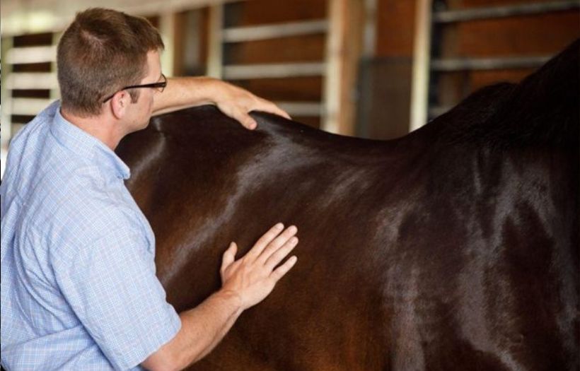 Topline Balance Technology