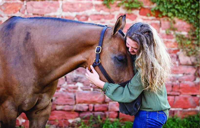horse feed for hard keepers