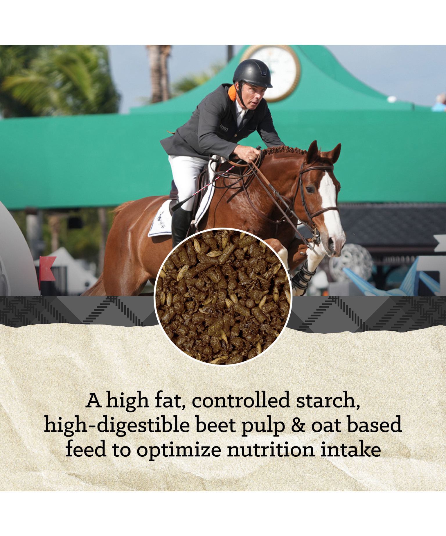 ProForce Fuel XF | Nutrena Animal Feeds