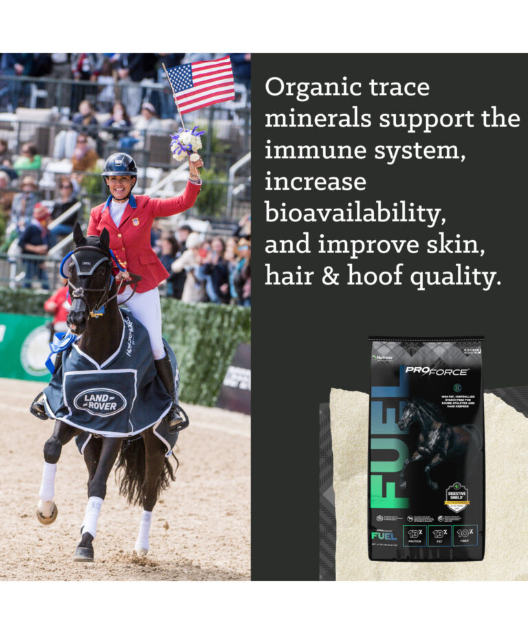 Organic trace minerals