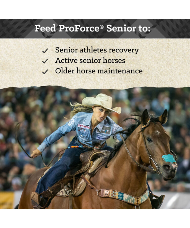 ProForce Senior