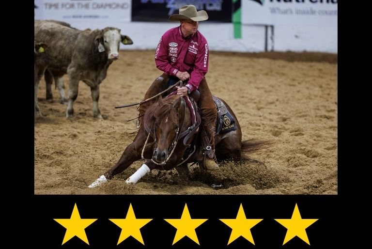 Horse in Arena