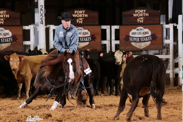 Beau Galyean cutting horse