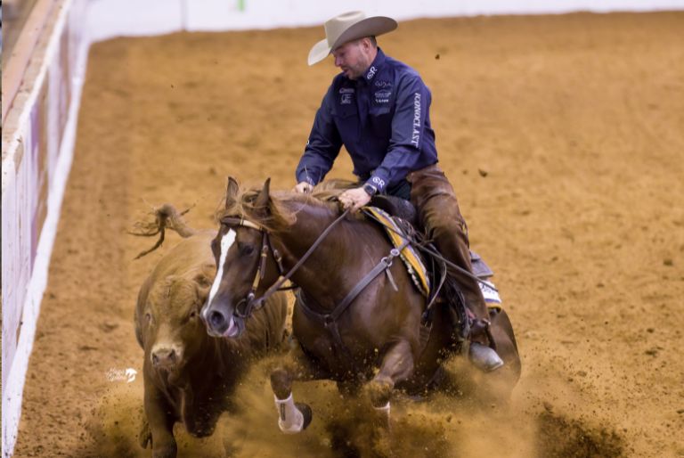 Ben Baldus cow horse