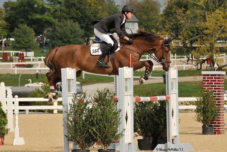Conor Oregan Jumping Horse