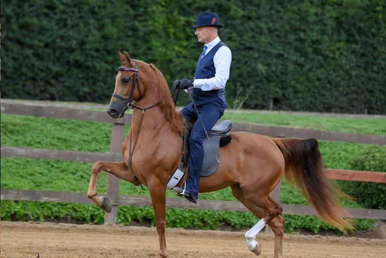 Jon Ramsay riding a horse