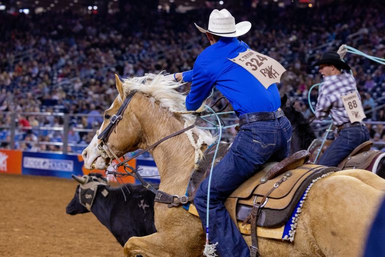 Man roping on horse