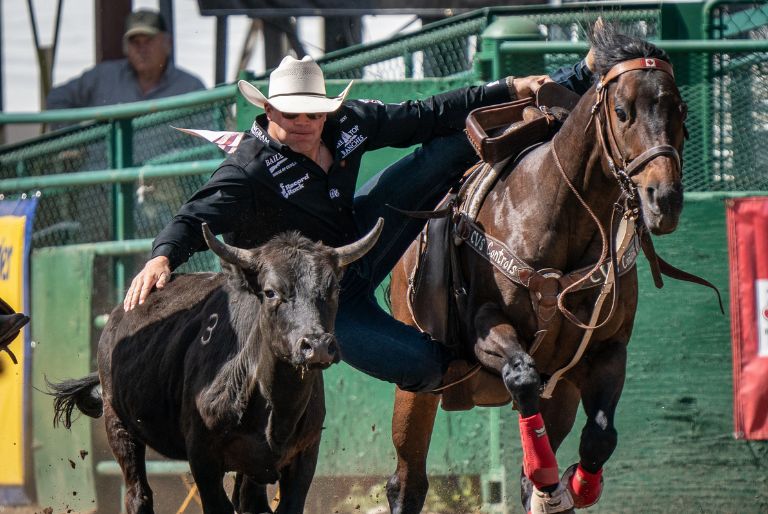 dakota eldridge horse steer wresteling
