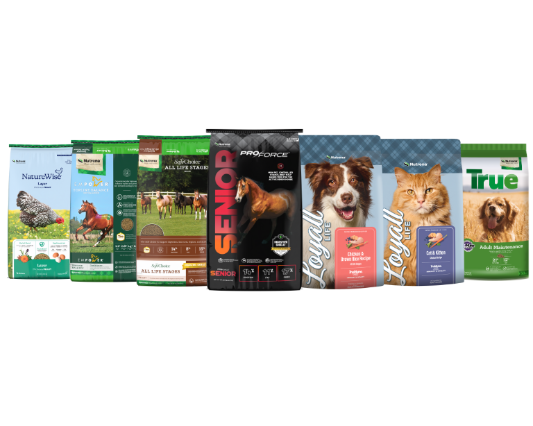 nutrena feeds multi-species bags