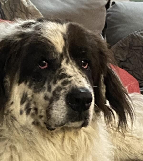 sensitive skin review photo