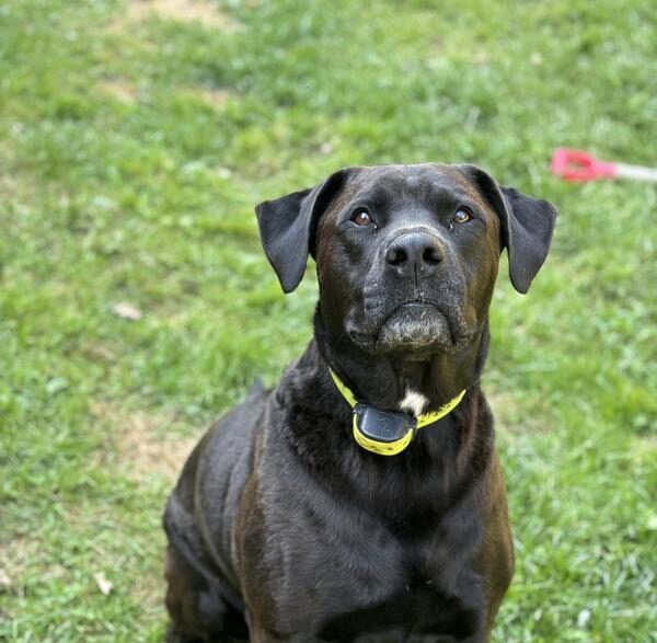 True Maintenance Review Photo