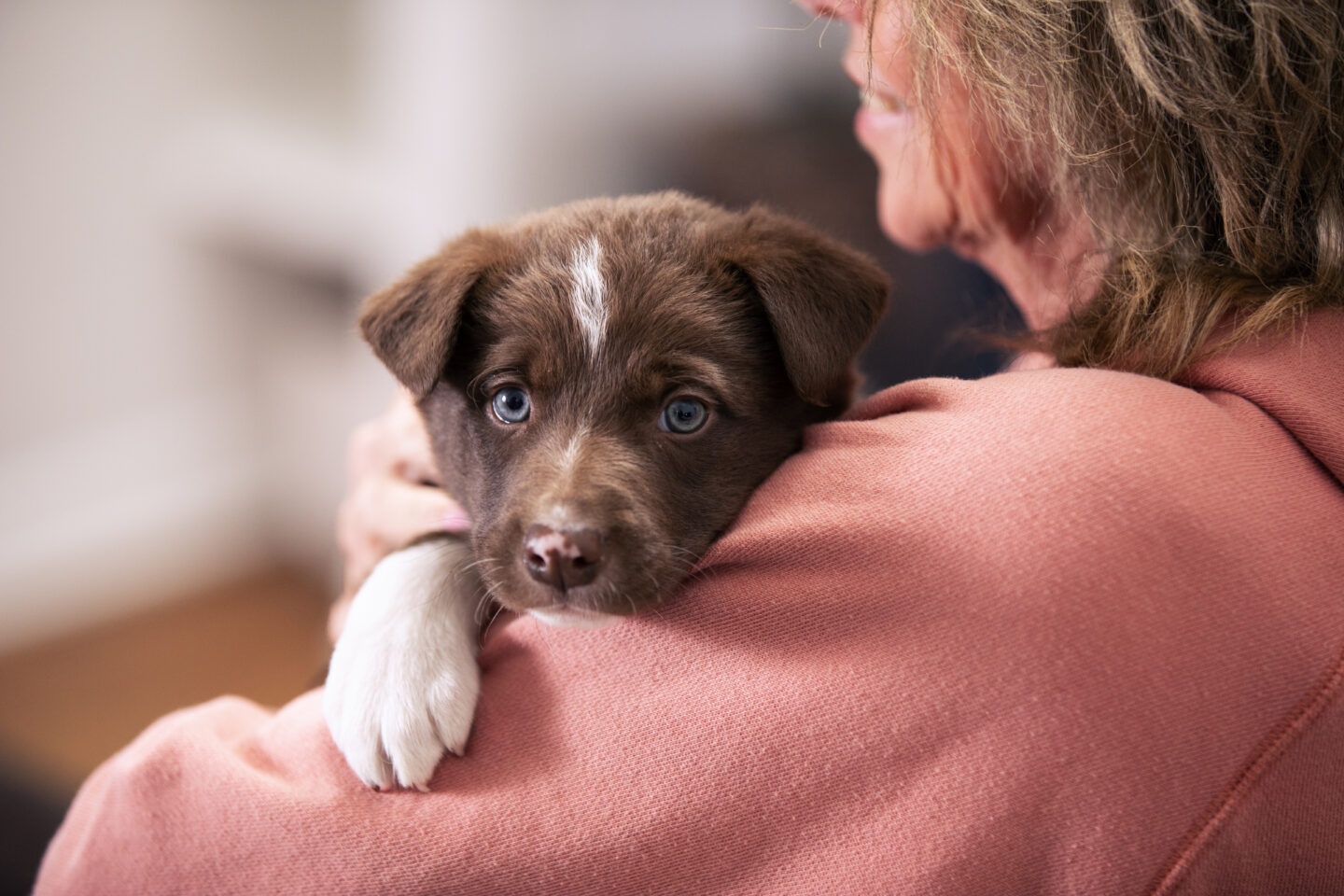 Puppy Being Held who is fed Nutrena