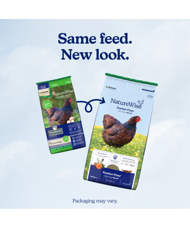 NatureWise Feather Fixer new 20% protein bag vs old packaging – same molting support, new look.