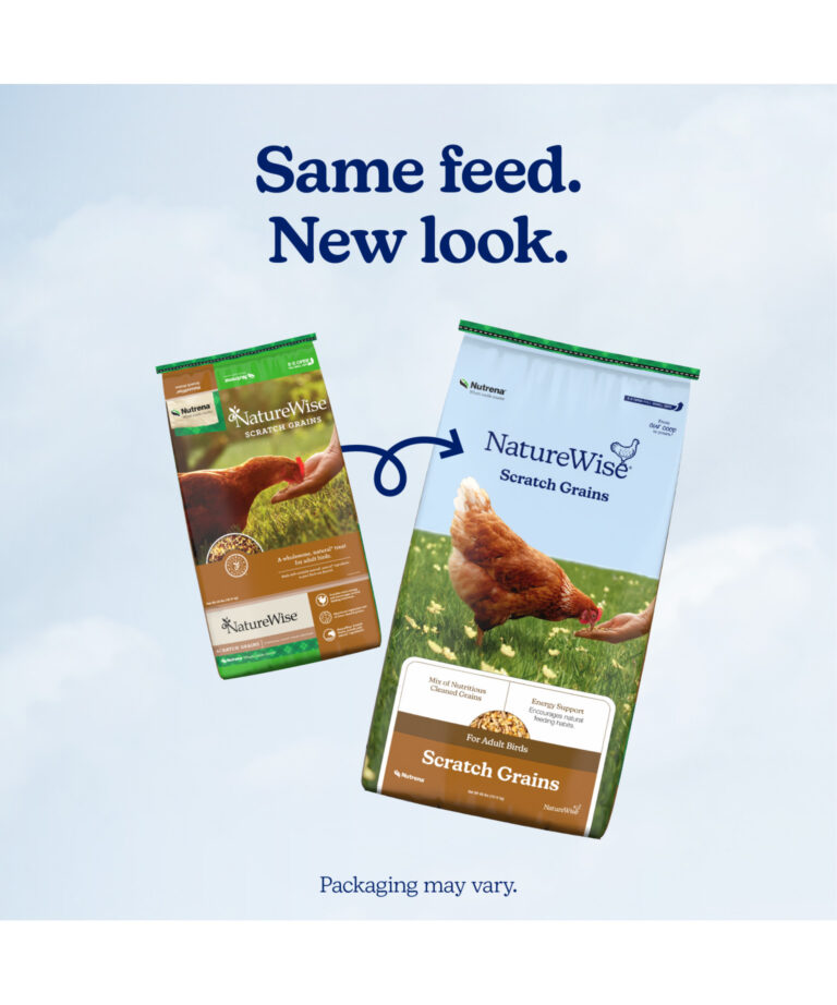 NatureWise Scratch Grains new bag vs old bag – same wholesome grains, new look.