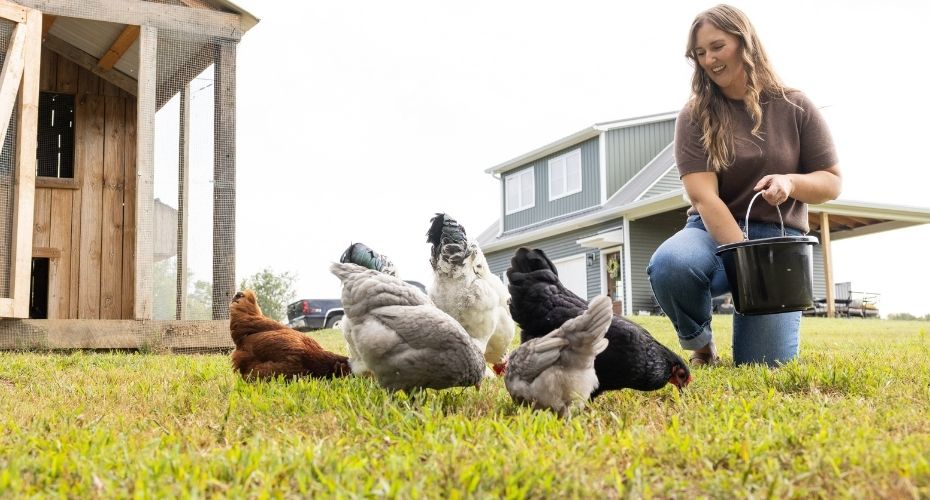 woman feeding layers nutrena poultry feeds