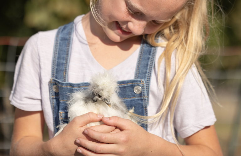 girl hold silkie ornamental chicken