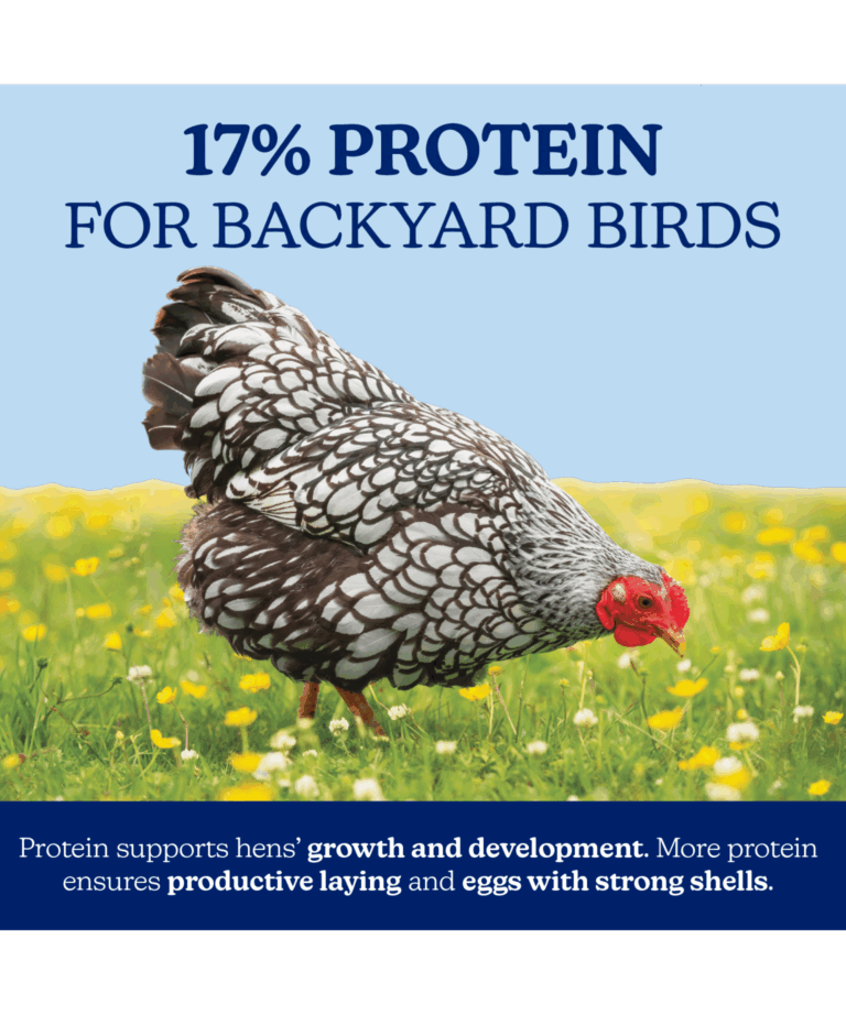 nutrena naturewise 17% protein layer for backyard birds