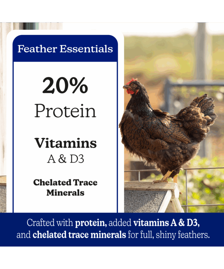naturewise feather fixer 20% protein with vitamins and calcium
