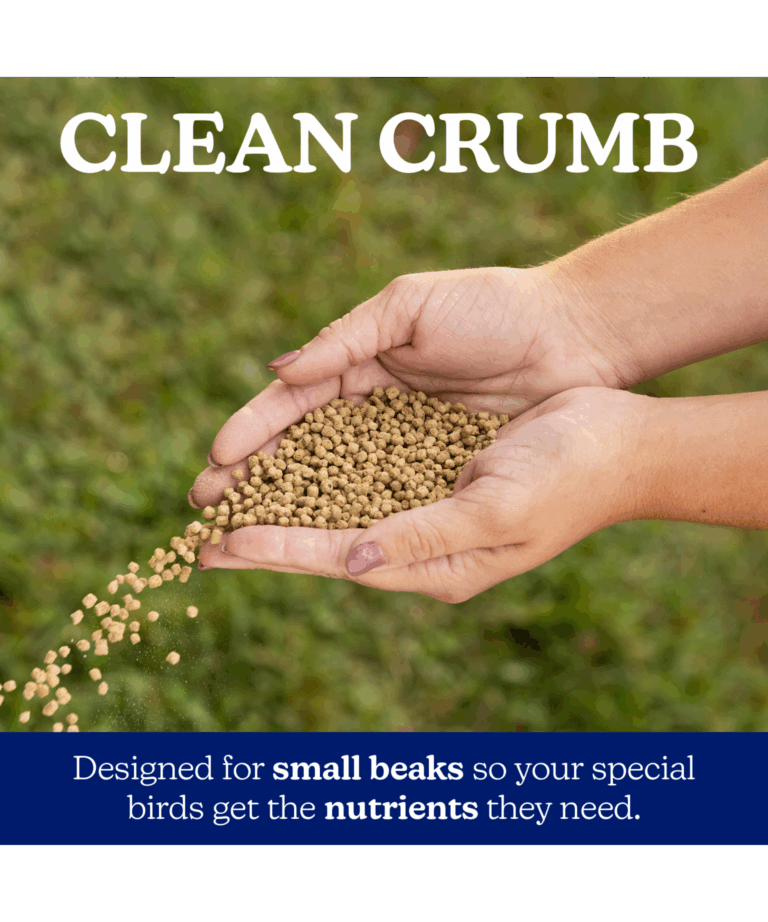 nutrena naturewise silkie & ornamental layer 22% protein clean crumb feed form