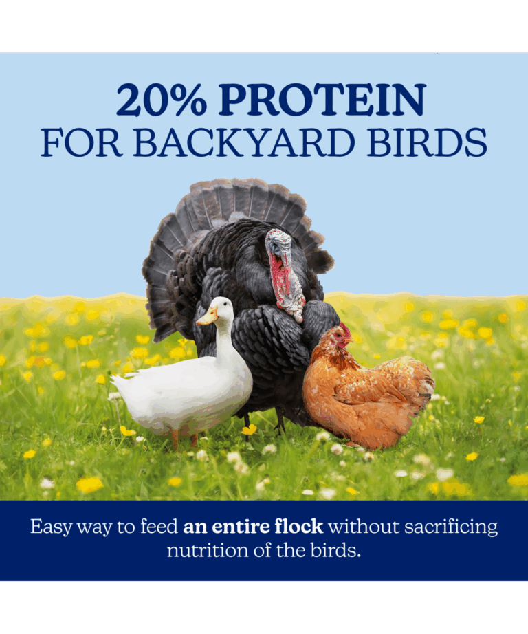 NatureWise All Flock 20% Protein Pellet for turkeys, chickens, geese, ducks