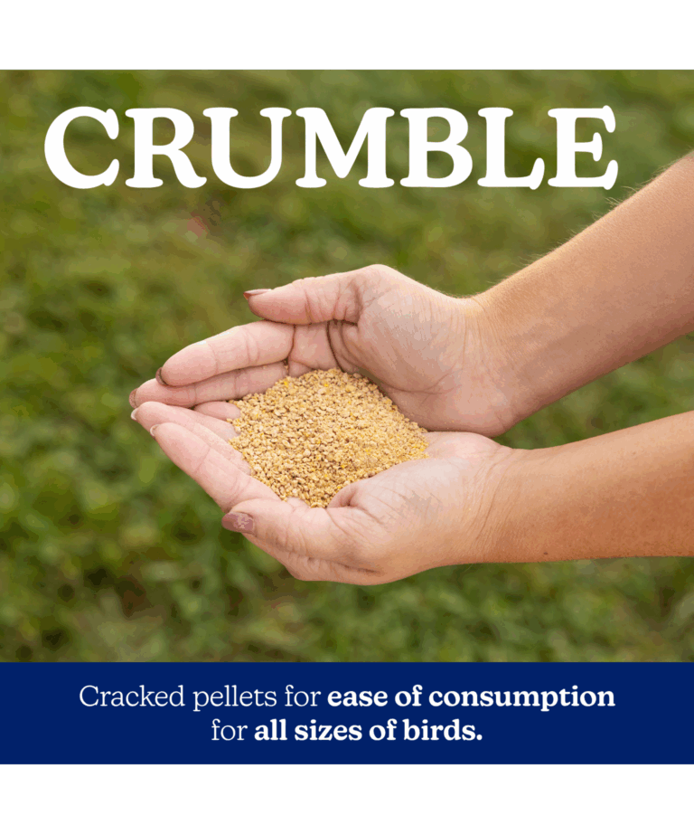 naturewise chick starter grower 18% protein crumbles
