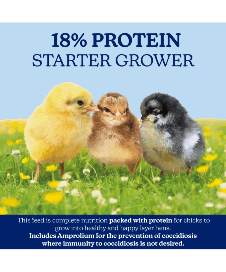 nutrena naturewise chick starter grower crumble medicated with 18% protein
