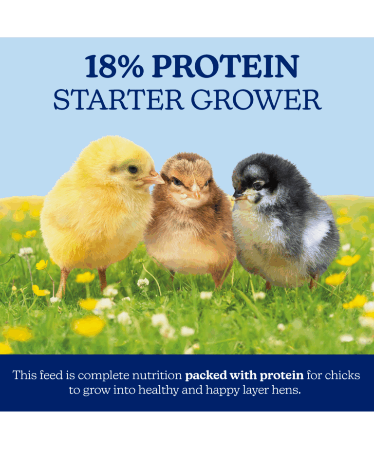 naturewise chick starter grower 18% crumble non medicated for chicks