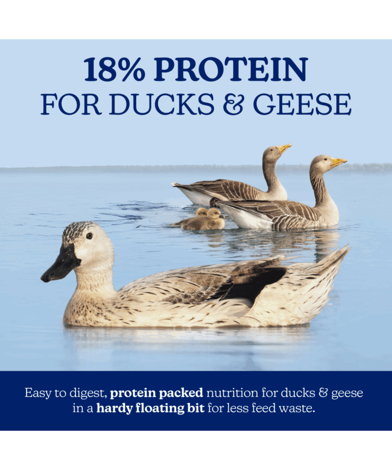 naturewise 18% protein for ducks and geese
