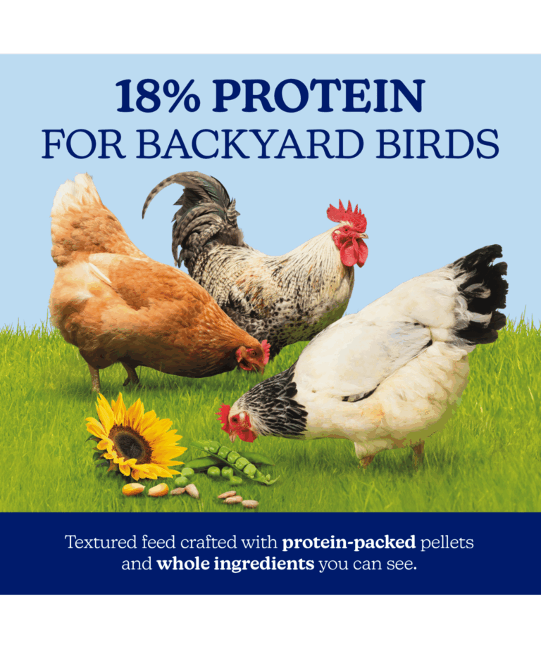nutrena naturewise harvest blend 18% protein for backyard birds