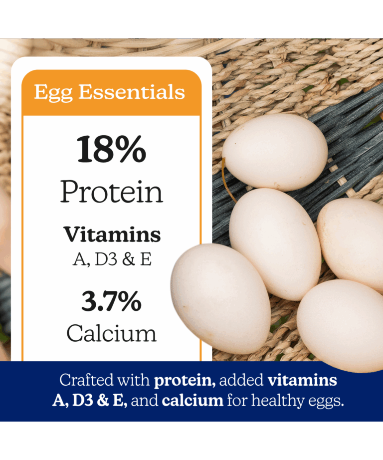 nutrena naturewise hearty hen 18% protein with vitamins and calcium