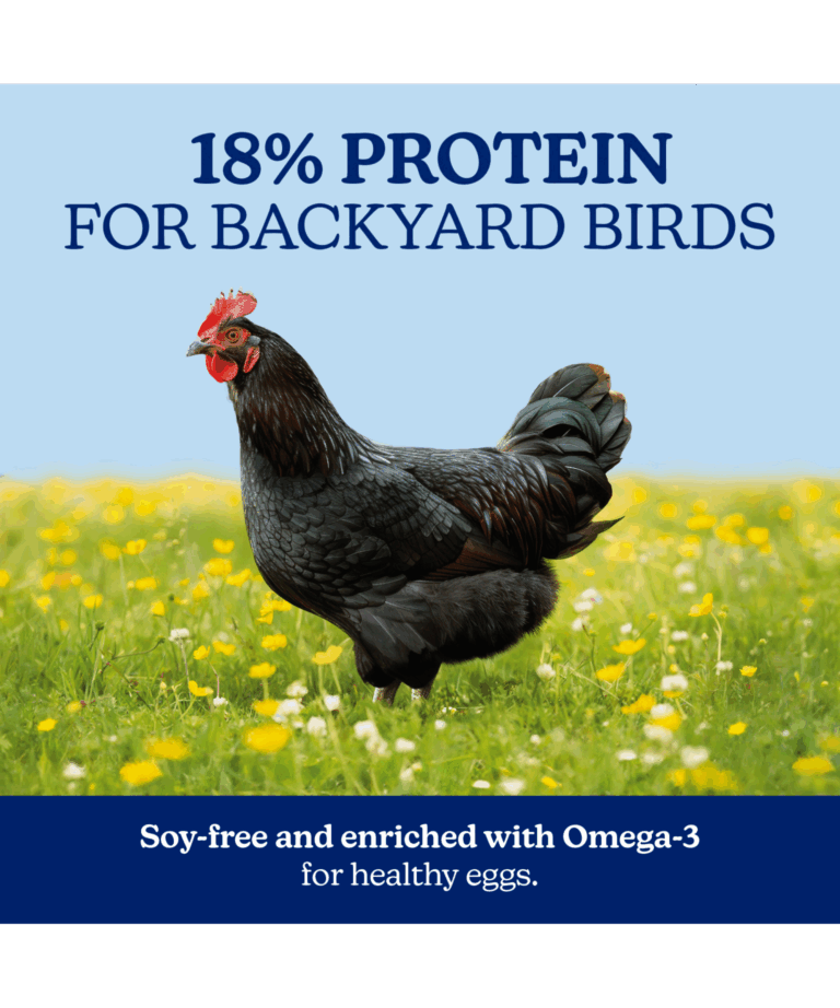 nutrena naturewise hearty hen 18% protein for backyard birds