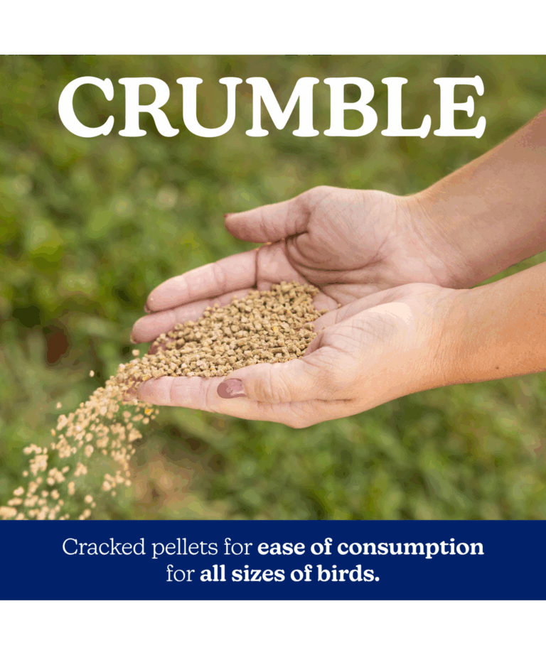 naturewise layer crumble feed form
