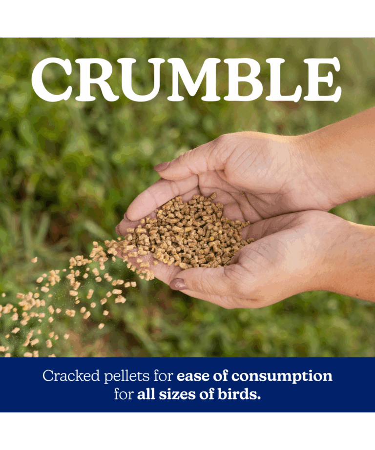 naturewise meatbird crumble feed form