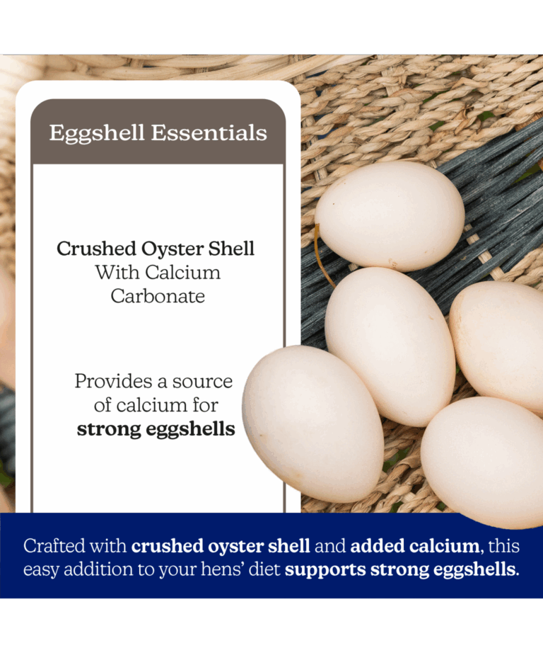 naturewise oyster shell with eggshell support