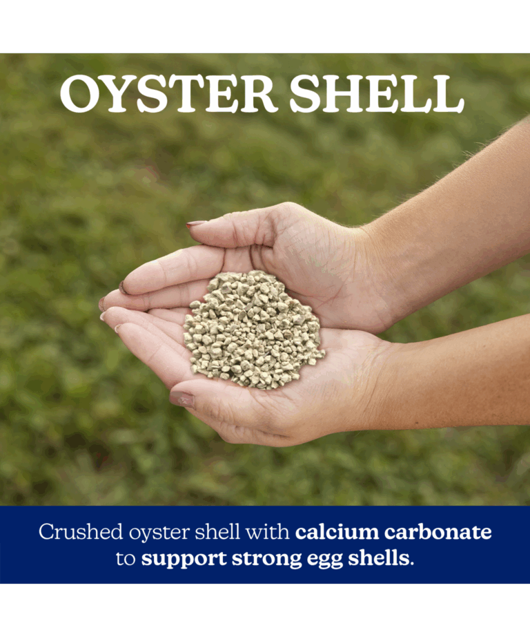 naturewise oyster shell with calcium carbonate to support strong eggshells