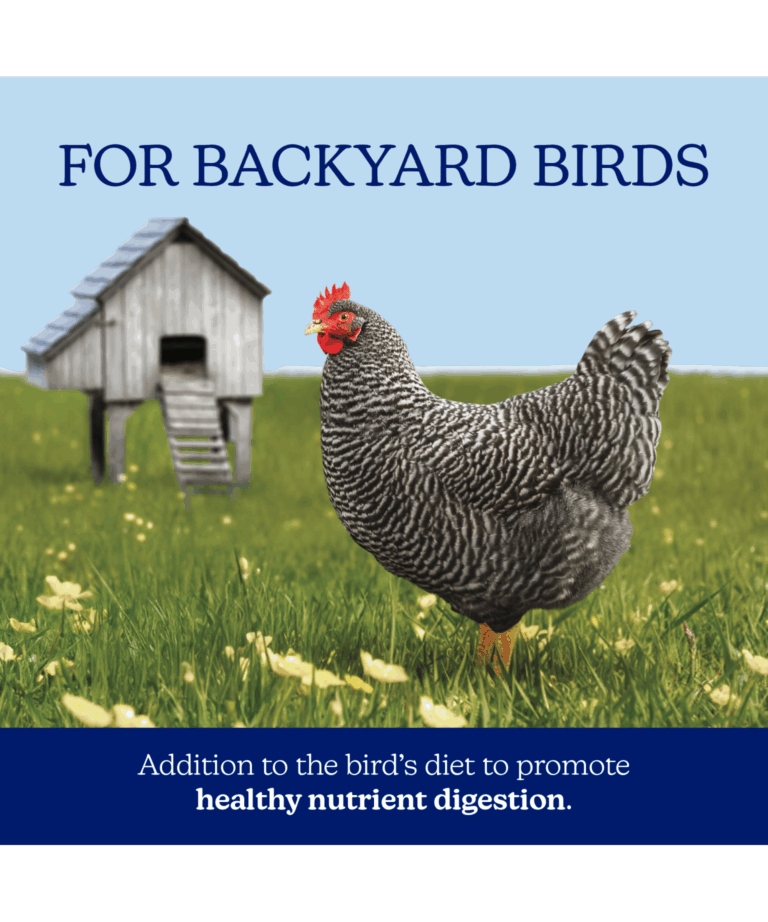 nutrena naturewise poultry grit for backyard birds
