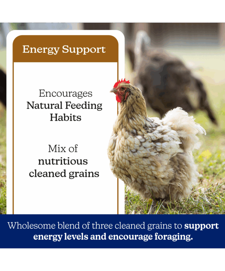 nutrena naturewise scratch grains for energy support