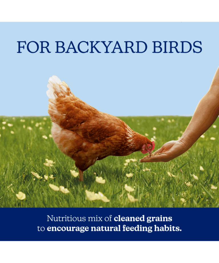 nutrena naturewise scratch grains for backyard birds