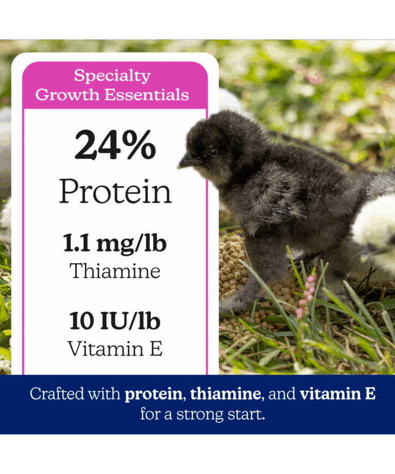 nutrena naturewise silkie & ornamental chick starter grower 24% protein with thiamine and vitamin e