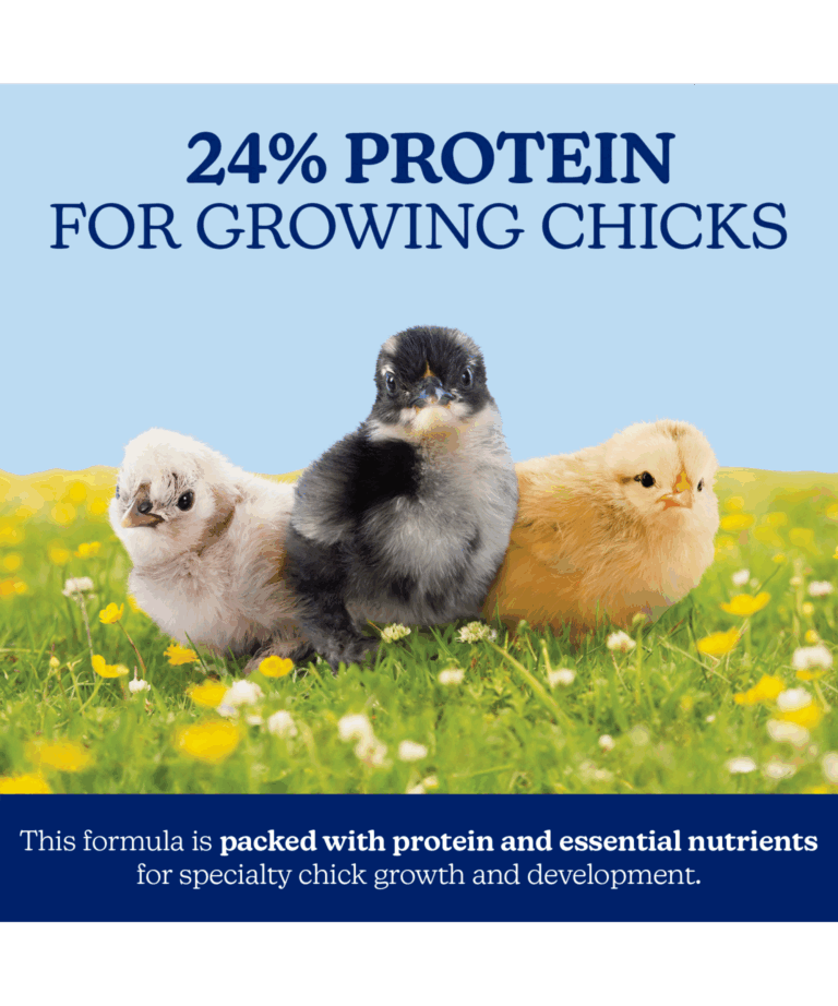 nutrena naturewise silkie & ornamental micro clean crumb 24% protein for growing chicks