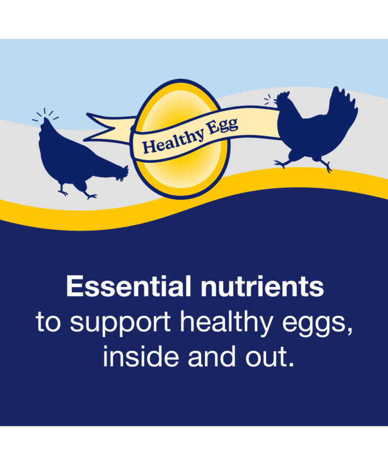 nutrena naturewise healthy egg poultry treats for essential nutrients