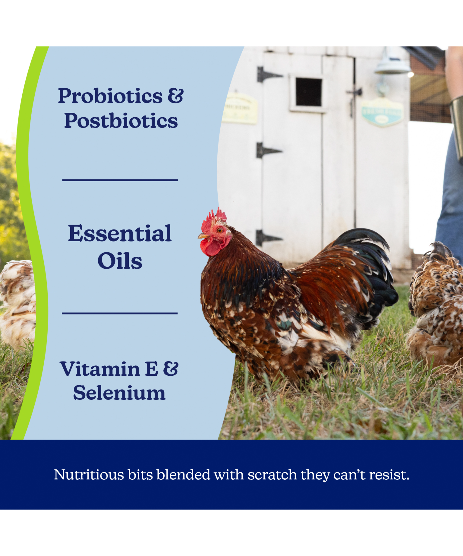 NatureWise TidBits Immunity Support Poultry Treats | Nutrena