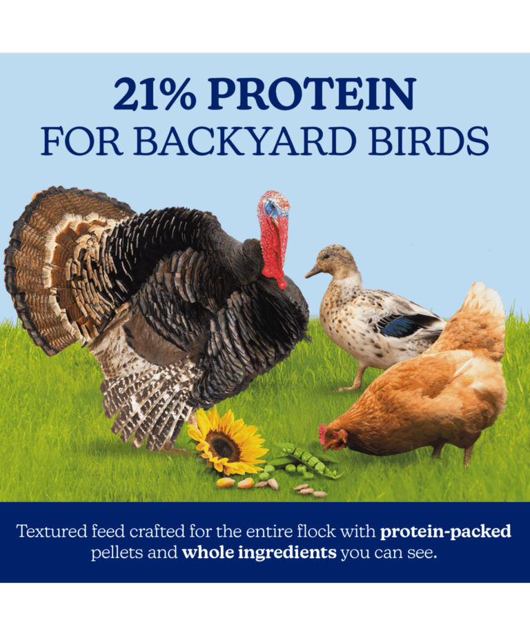 nutrena naturewise harvest blend all flock