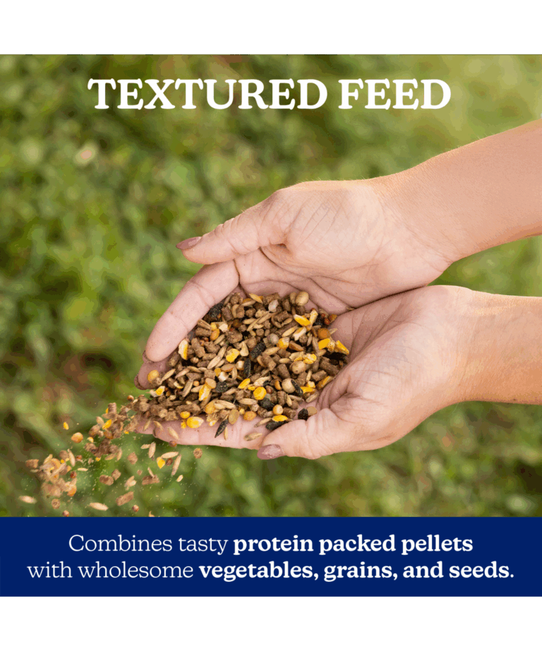 nutrena naturewise harvestg blend textured feed close up