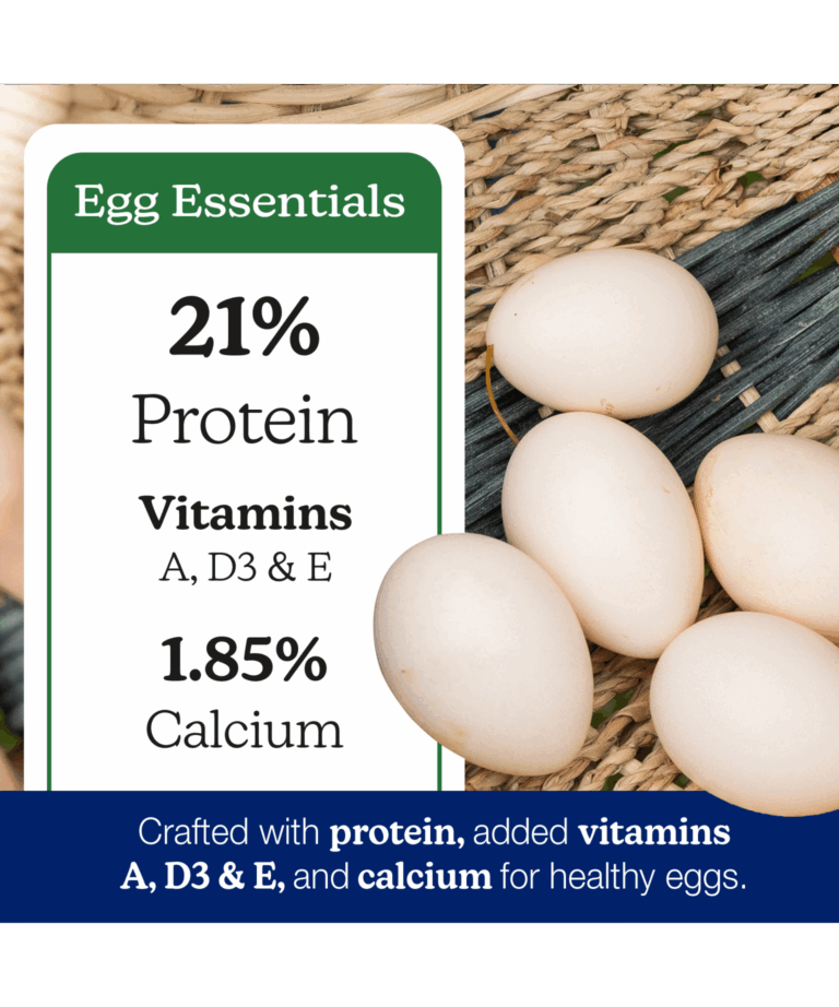 nutrena naturewise harvest blend all flock egg essentials with 21% protein