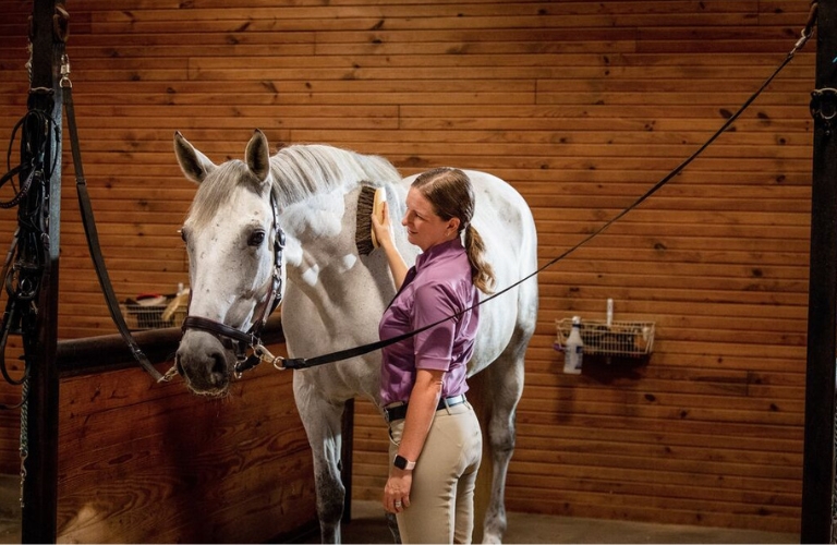 Woman brushing horse in barn