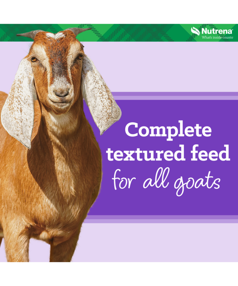 Nutrena Goat Medley textured feed for all goats