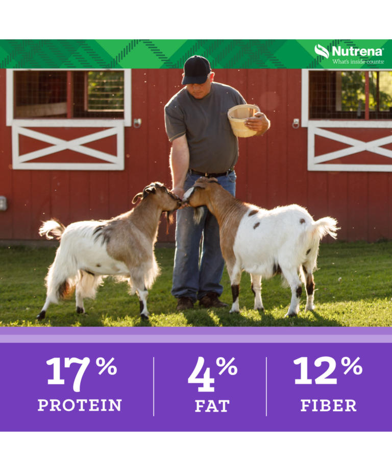 Nutrena Goat Medley with 17% protein