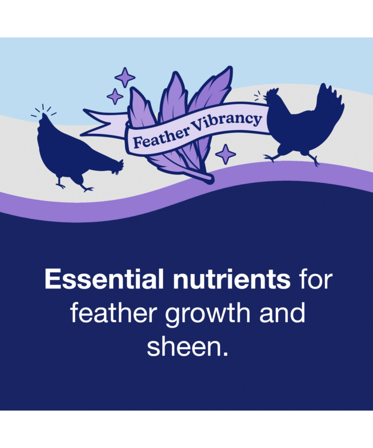 Nutrena NatureWise Feather Vibrancy with essential nutrients for feather growth and sheen