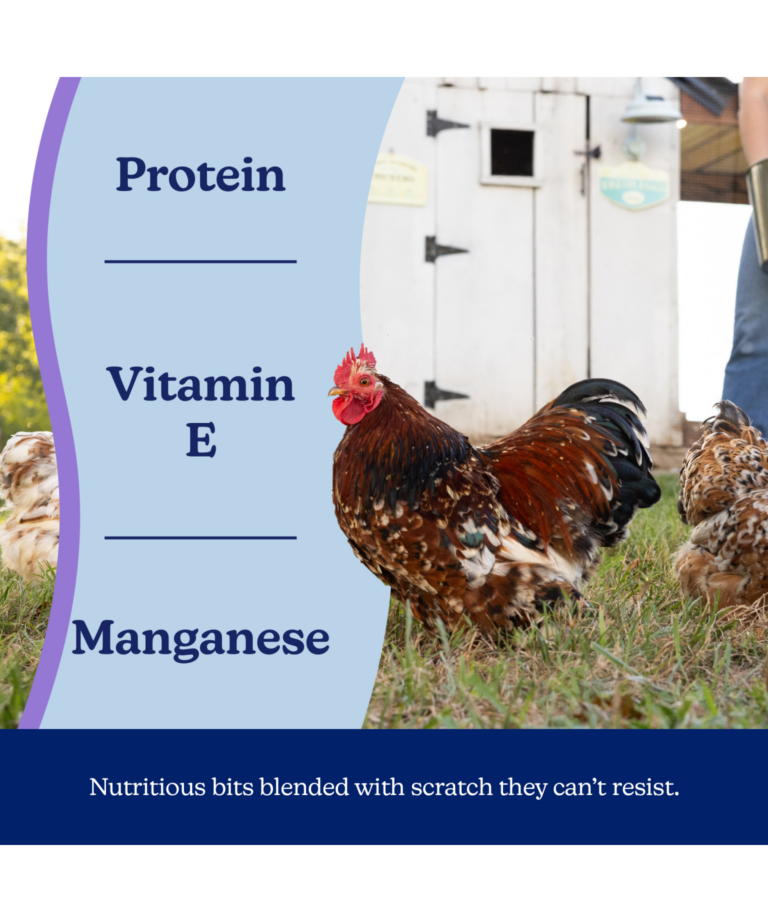 Nutrena NatureWise Feather Vibrancy - nutritious bits